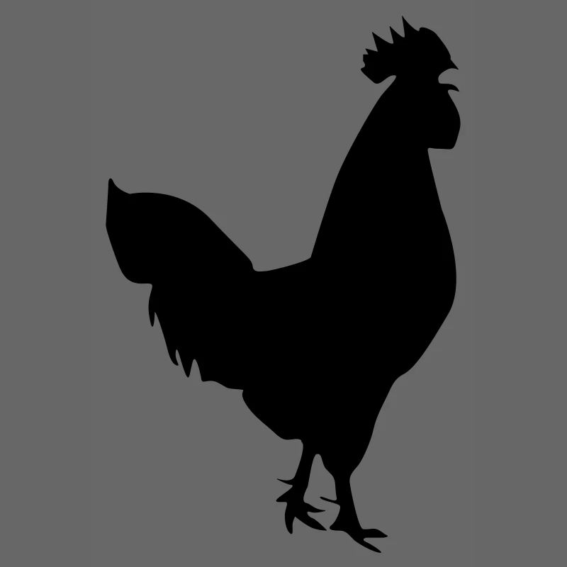 hahn silhouette design