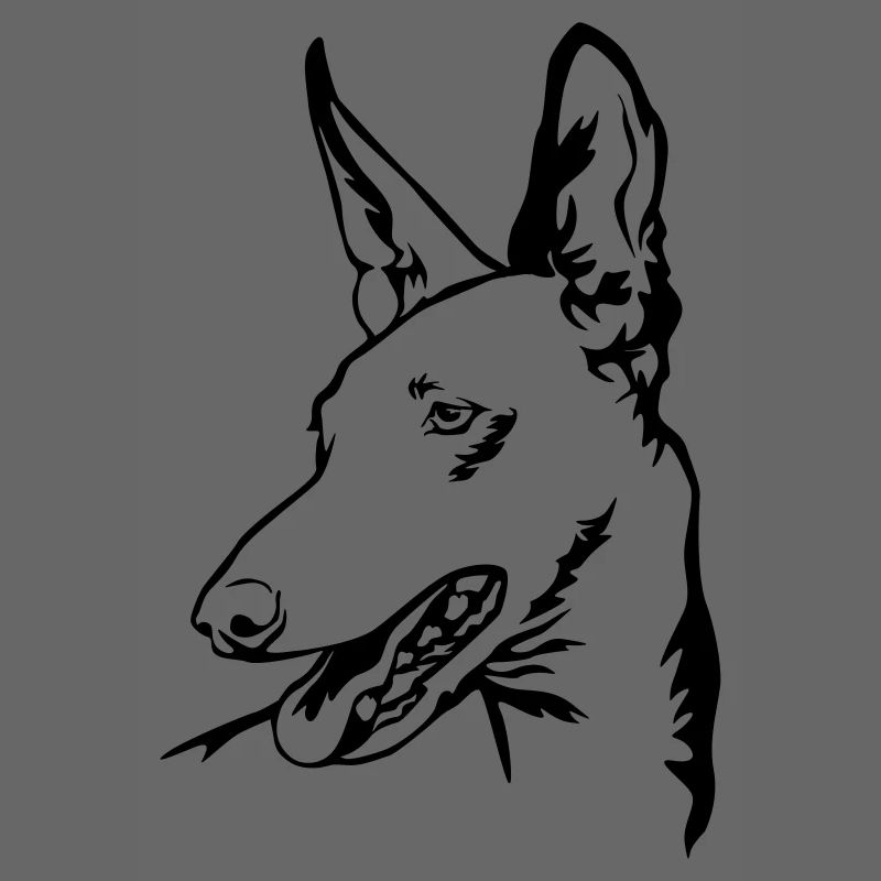 Podenco Kopf