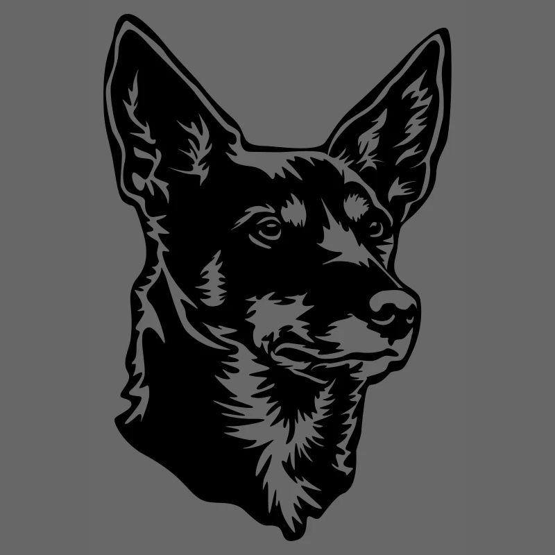 Australian Kelpie Kopf