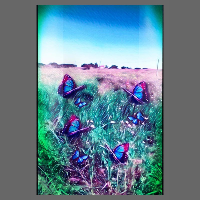 Blaue Schmetterlinge