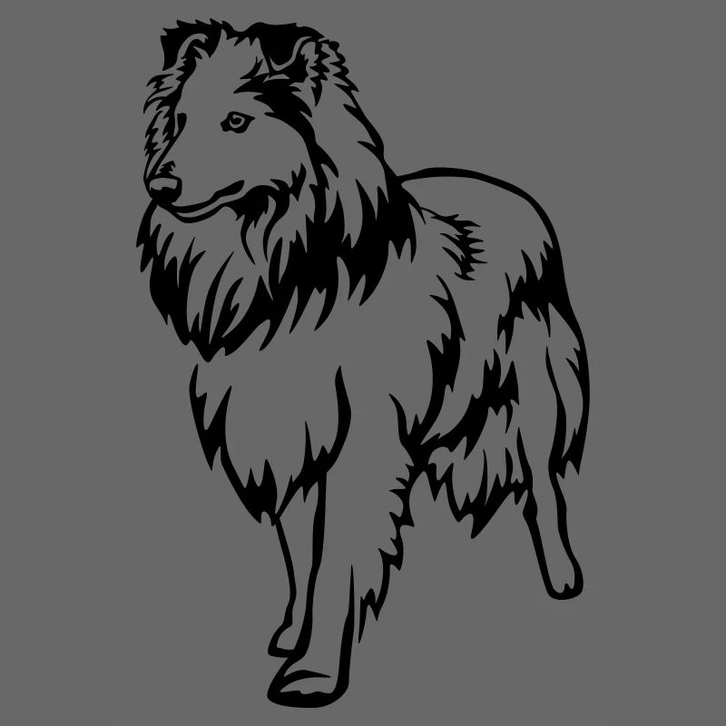 Sheltie