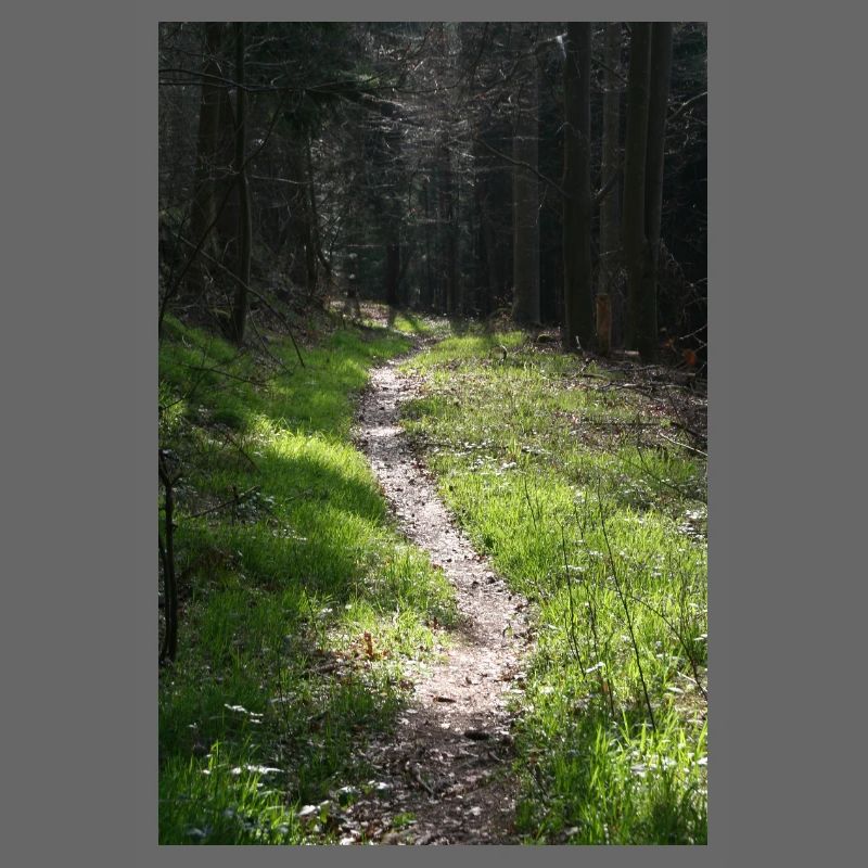 GREEN WAY