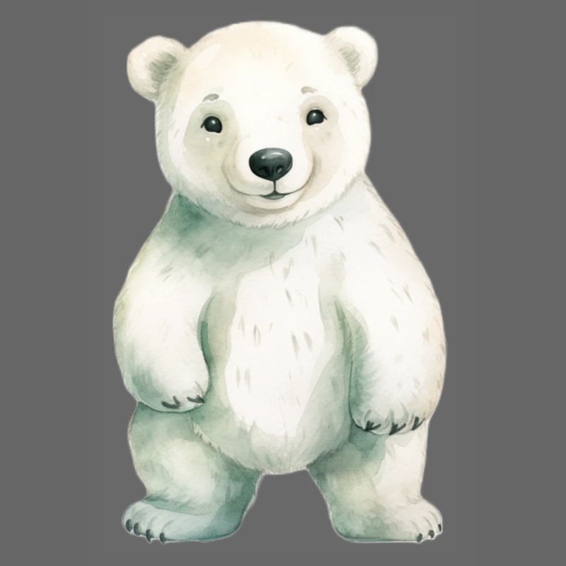 Eisbär Eisbär Klassenmaskottchen