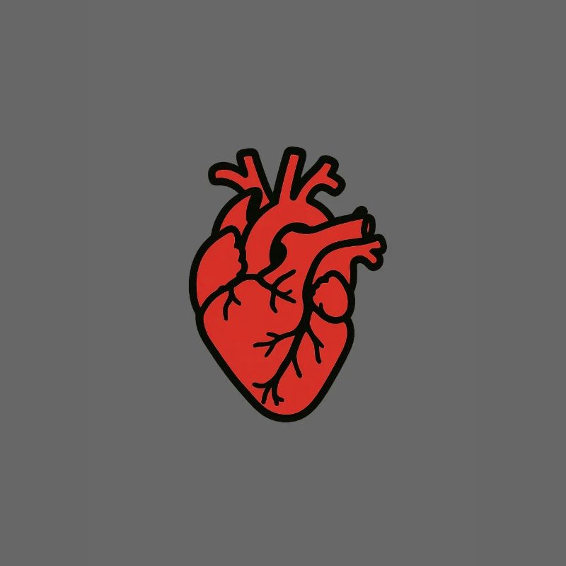 cuore_anatomico