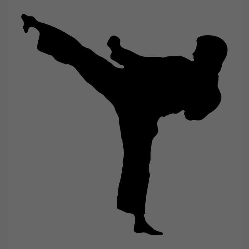 Highkick nach links