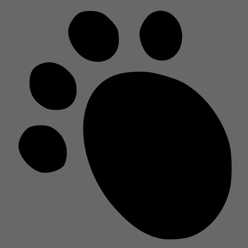 kizombear back