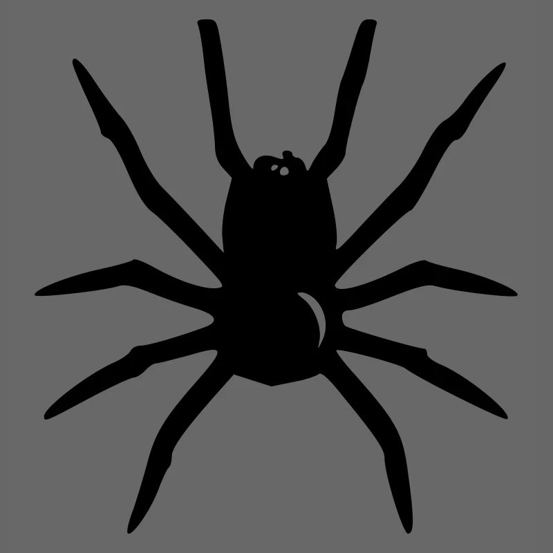 Spinne