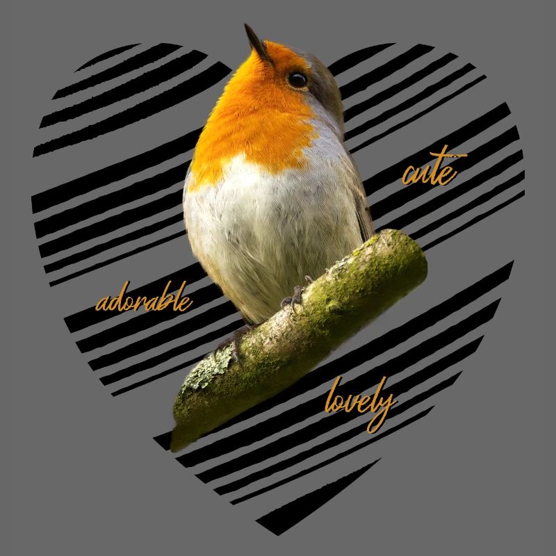 Rotkehlchen Singvogel