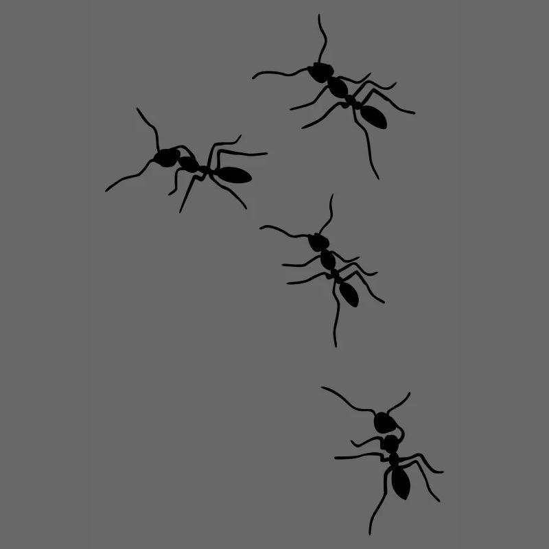 fourmis
