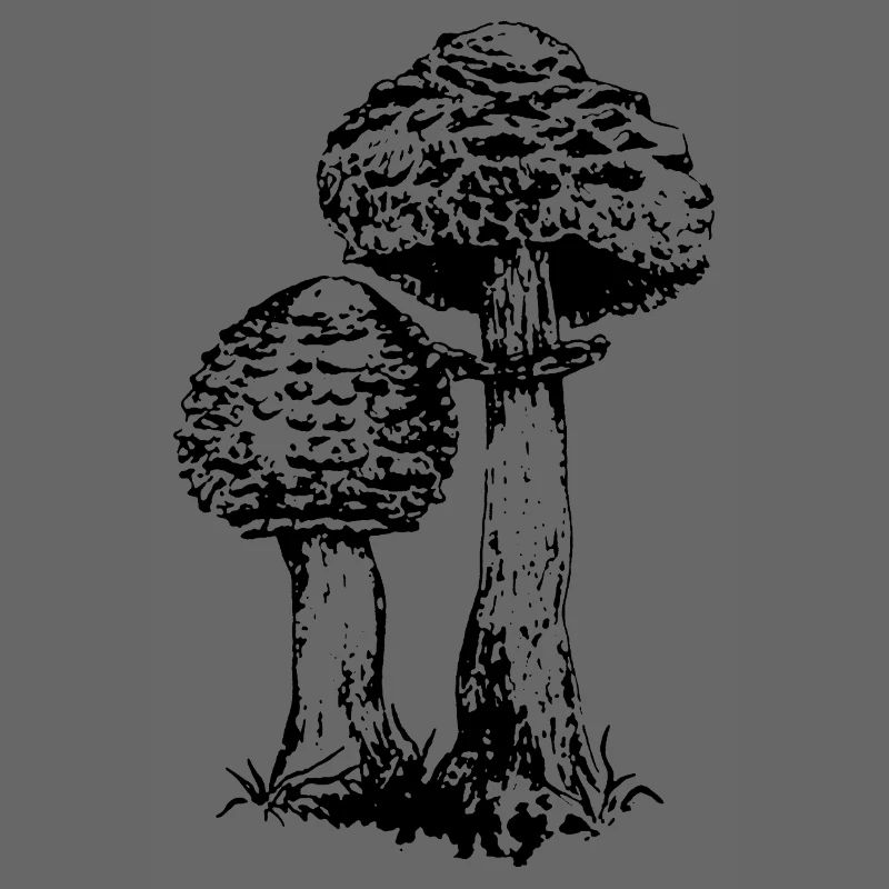 AKKUMULATOR PILZ