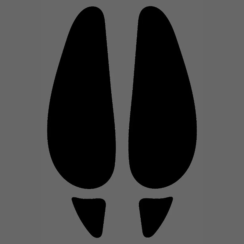 Empreinte de cerf