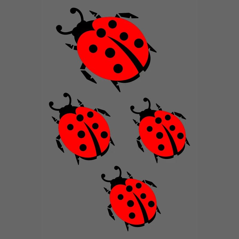 ladybug marienkaefer
