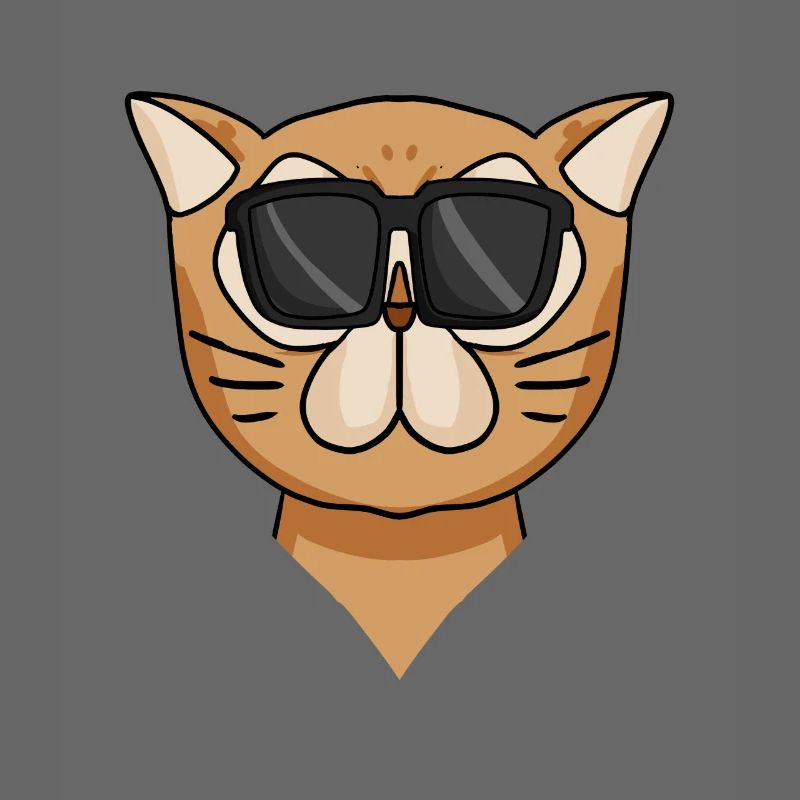 Coole Perserkatze Katzenrasse Katze