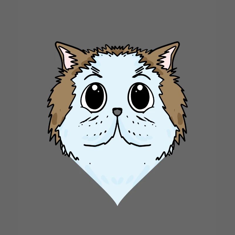 Chat persan Chat Race Chat