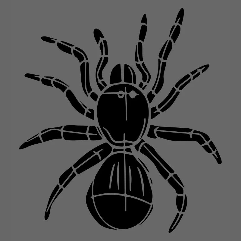 spider