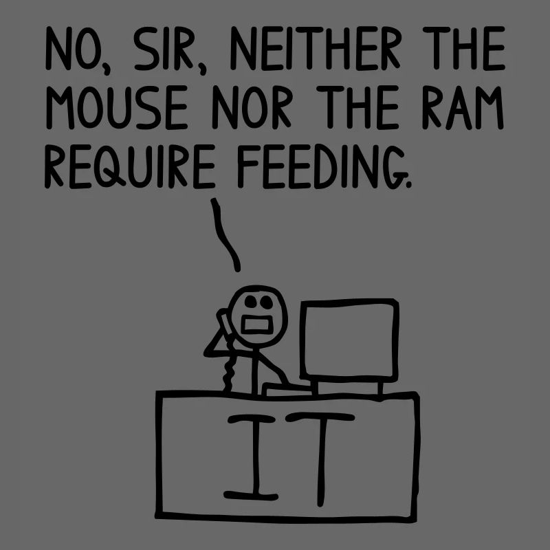 Souris et RAM