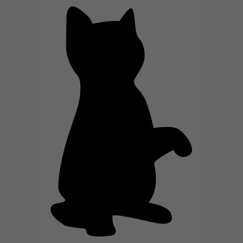 cat kitten