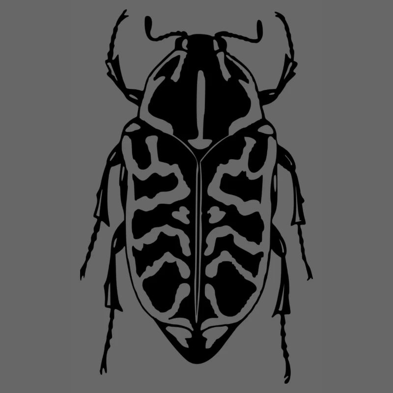 scolytes