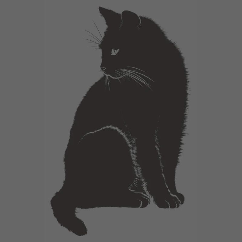 Schwarze Katze