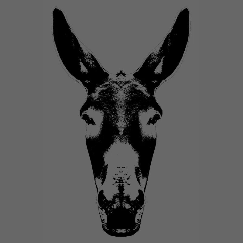 Donkey / Head / Mule / Head