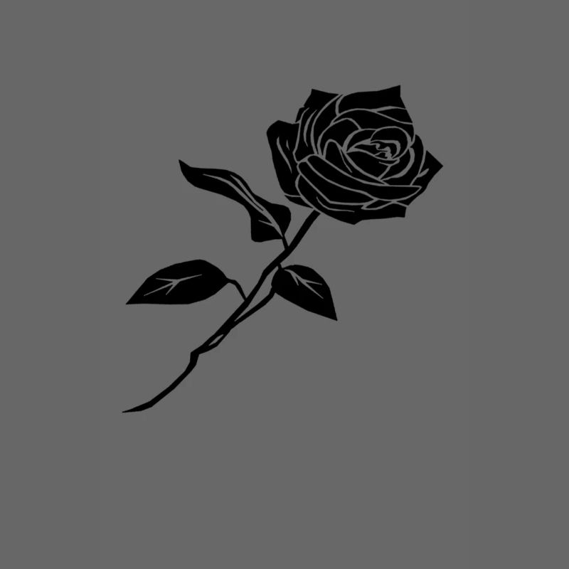 SCHWARZ rosa