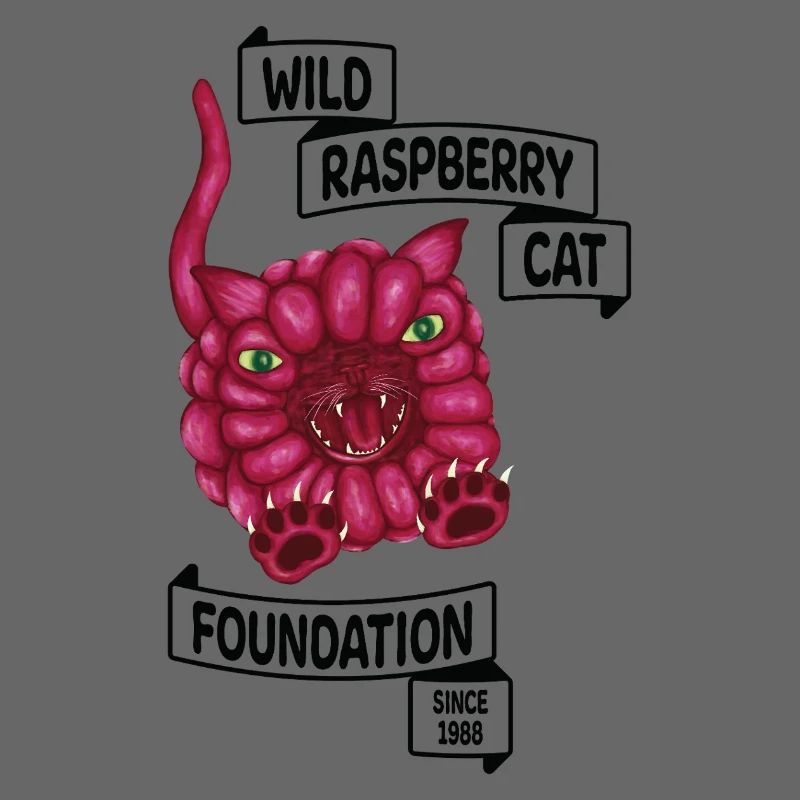 Raspberry le chat