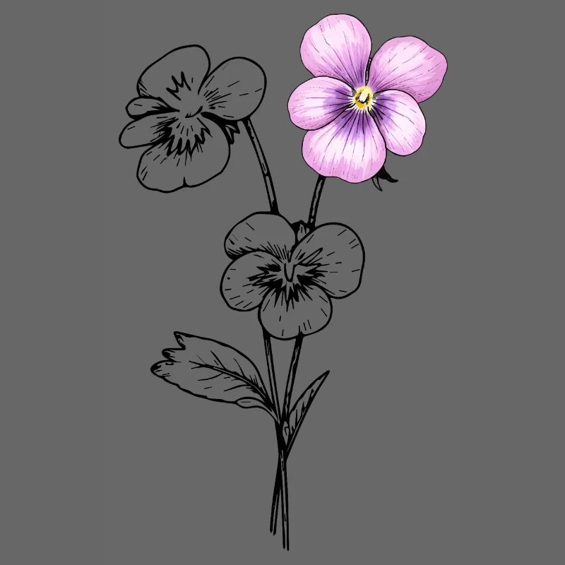 Illustration de fleurs de pensée