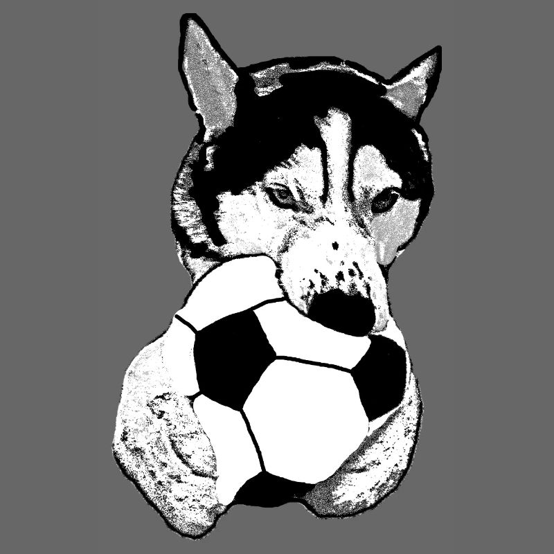 Husky mit Ball