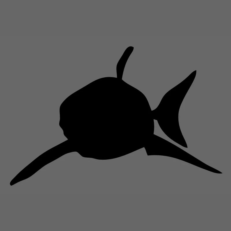 requin shark silhouette ombre shadow2