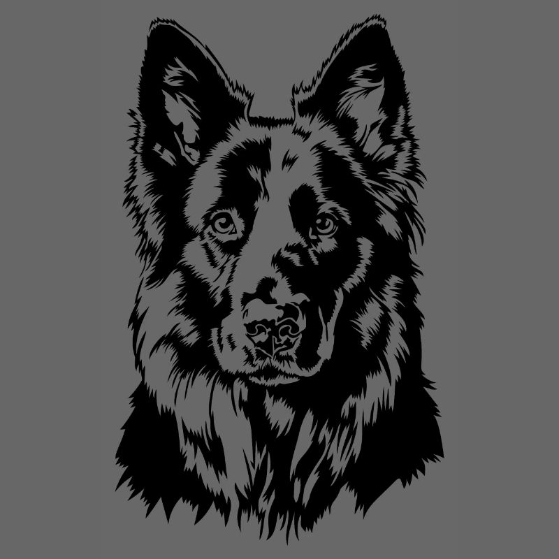 German Black Shepherd Portrait Wilsigns