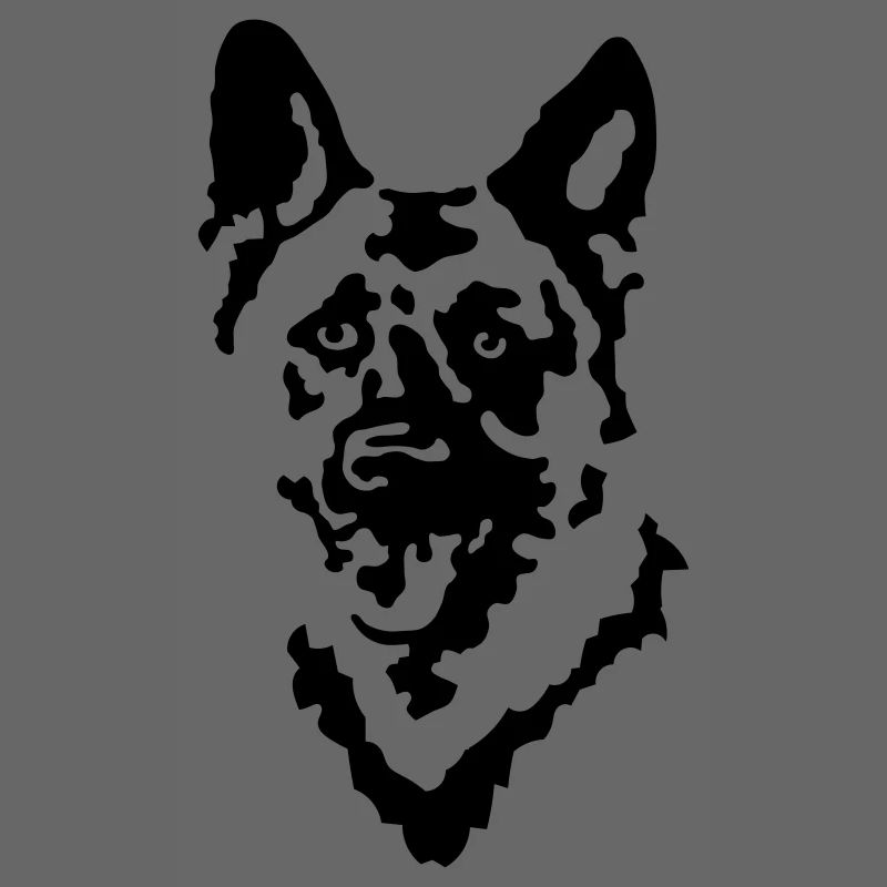 chien de berger