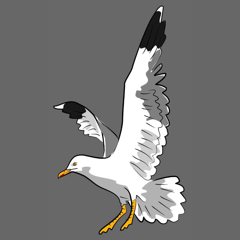vogel möwe strand
