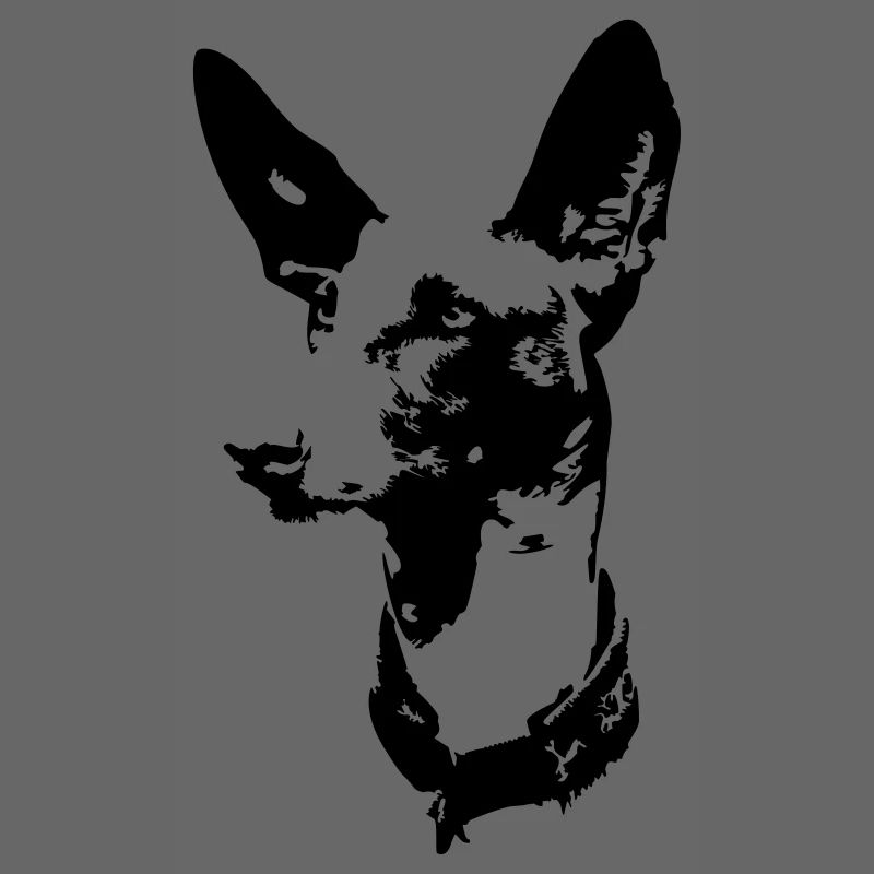 Podenco Kopf