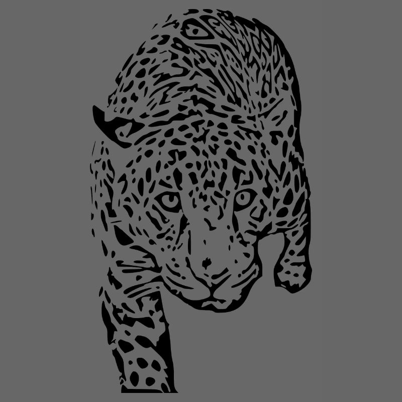 leopard schwarz schwarzer Leopard
