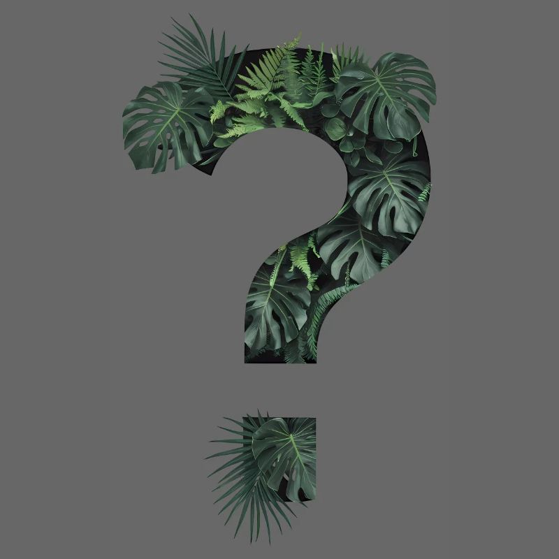 Plantes tropicales vertes Point d’interrogation jungle