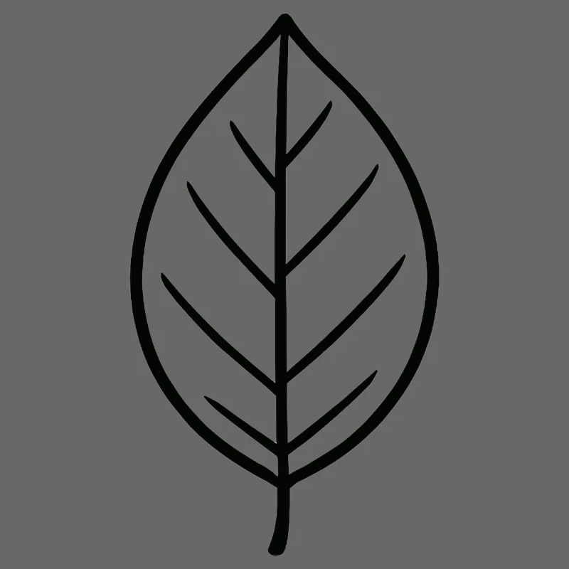 Conception à lignes de feuilles noires