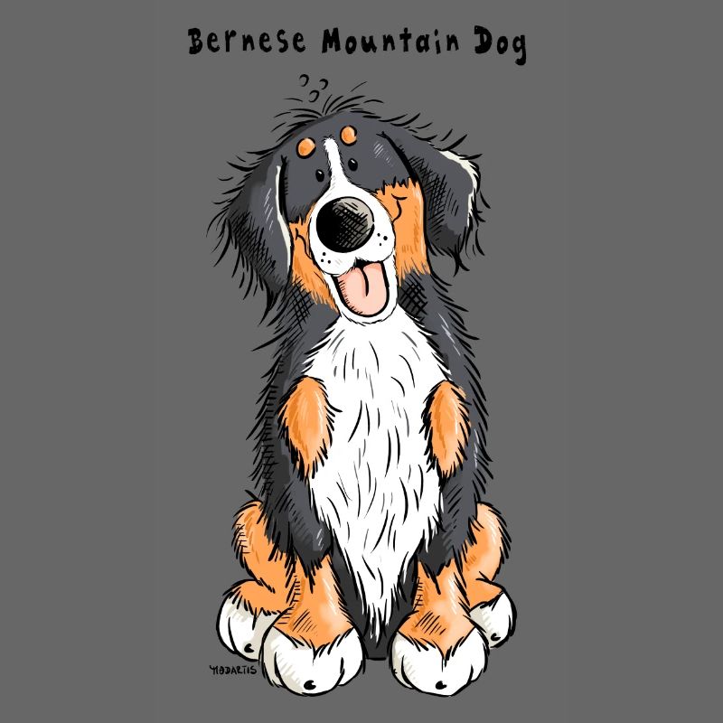 Berner Sennenhund mach Sitz
