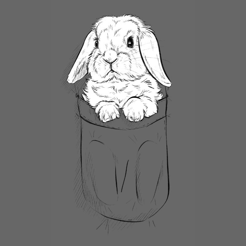 Ram Rabbit in Bag