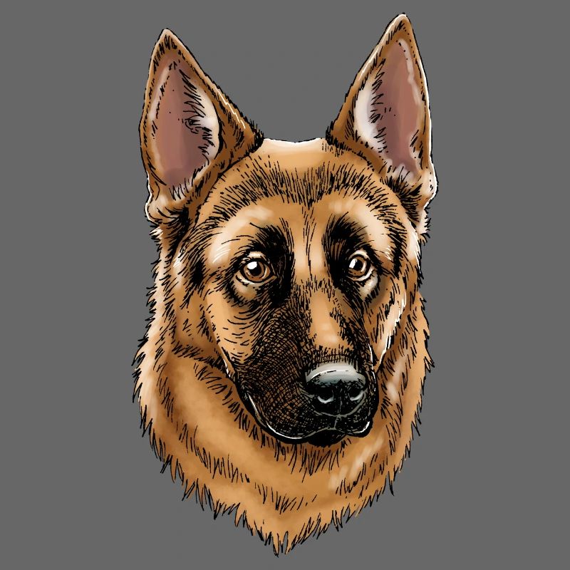 German Shepherd