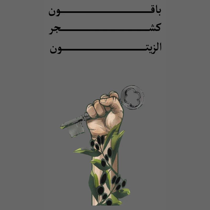 Solid like Oliven trees