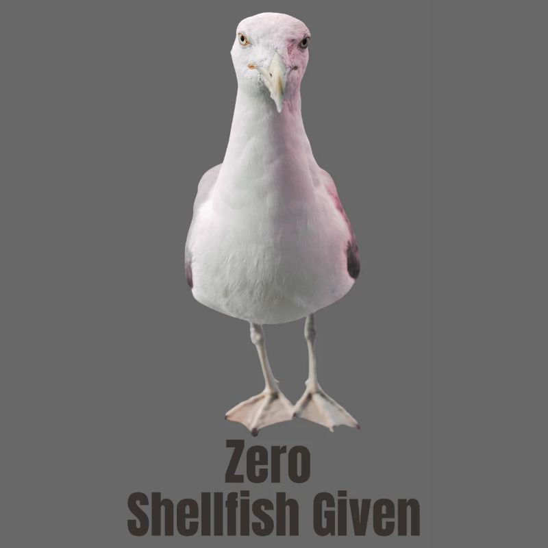 Abstrakte Möwe mit farbigen Akzenten