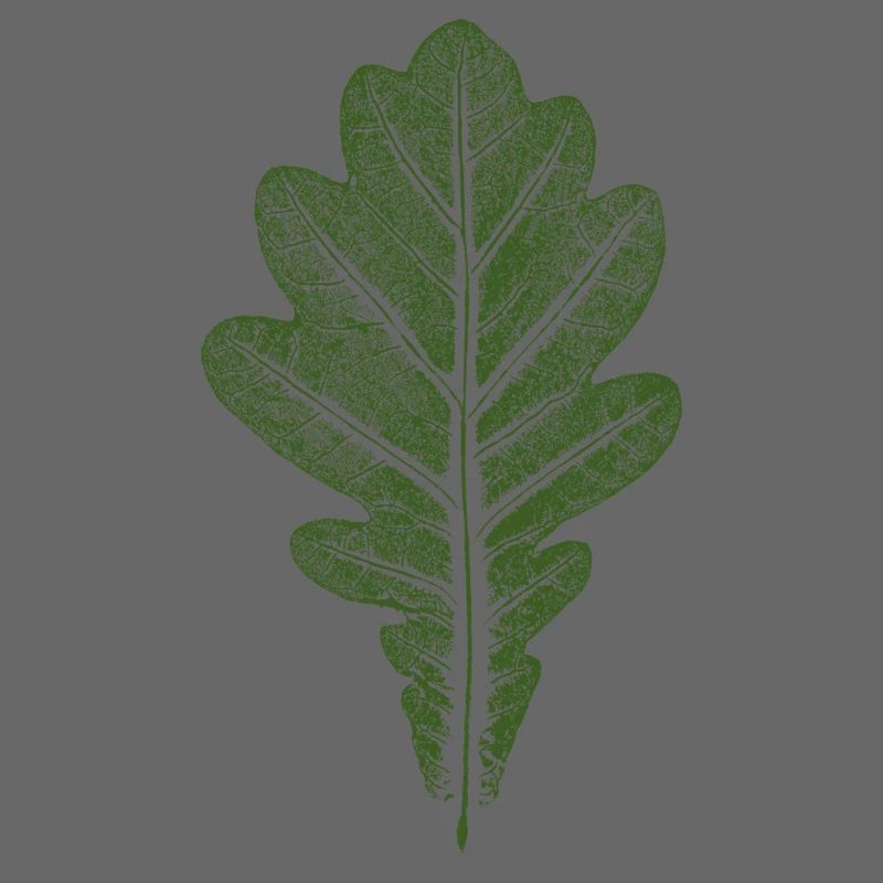 Leaf Oak - Oak Leaf / Nature & Forest Design