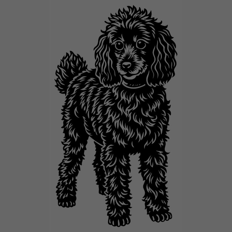 poodle