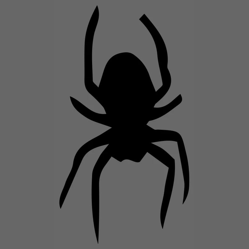 Spinne