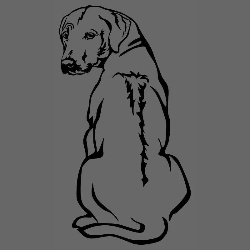 Rhodesian Ridgeback