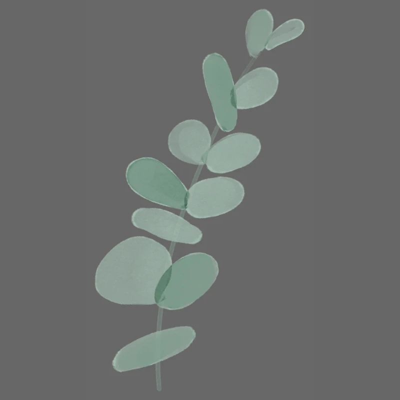 Eukalyptus