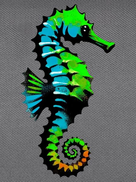 Seepferdchen