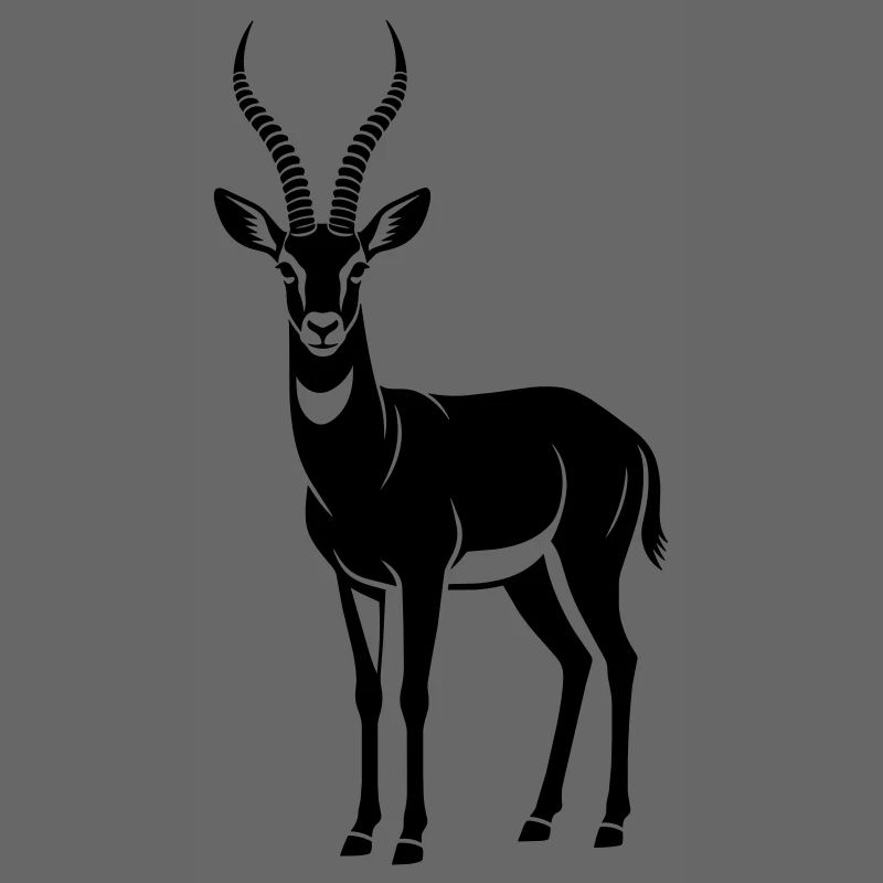 antelope