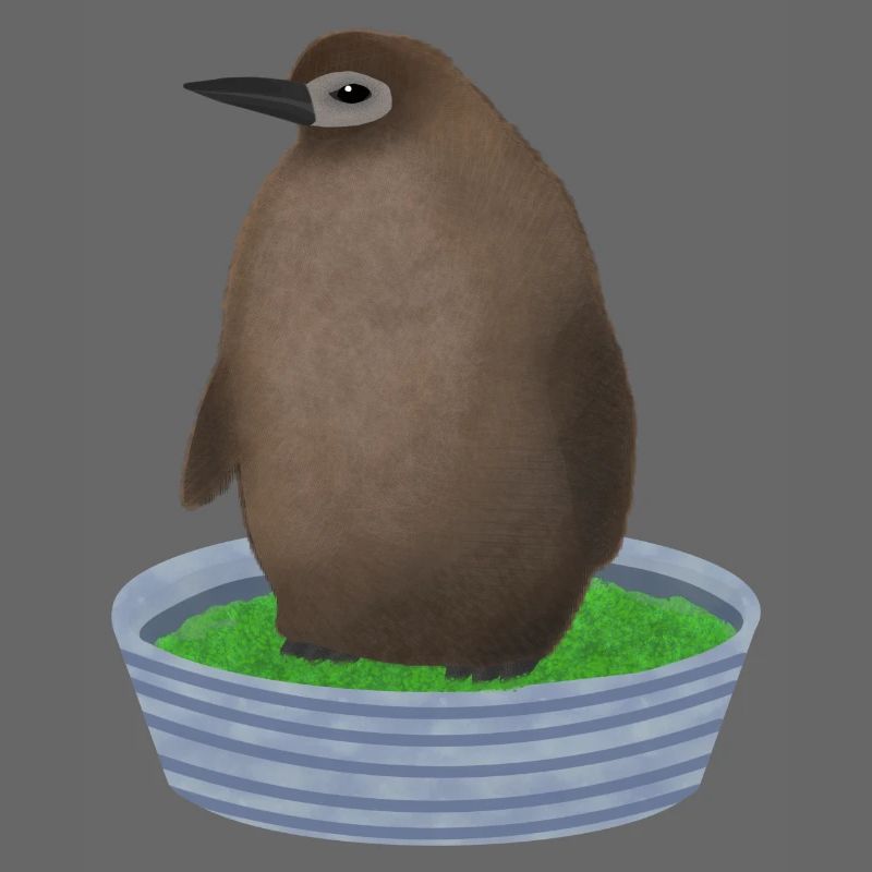 Pesto penguin