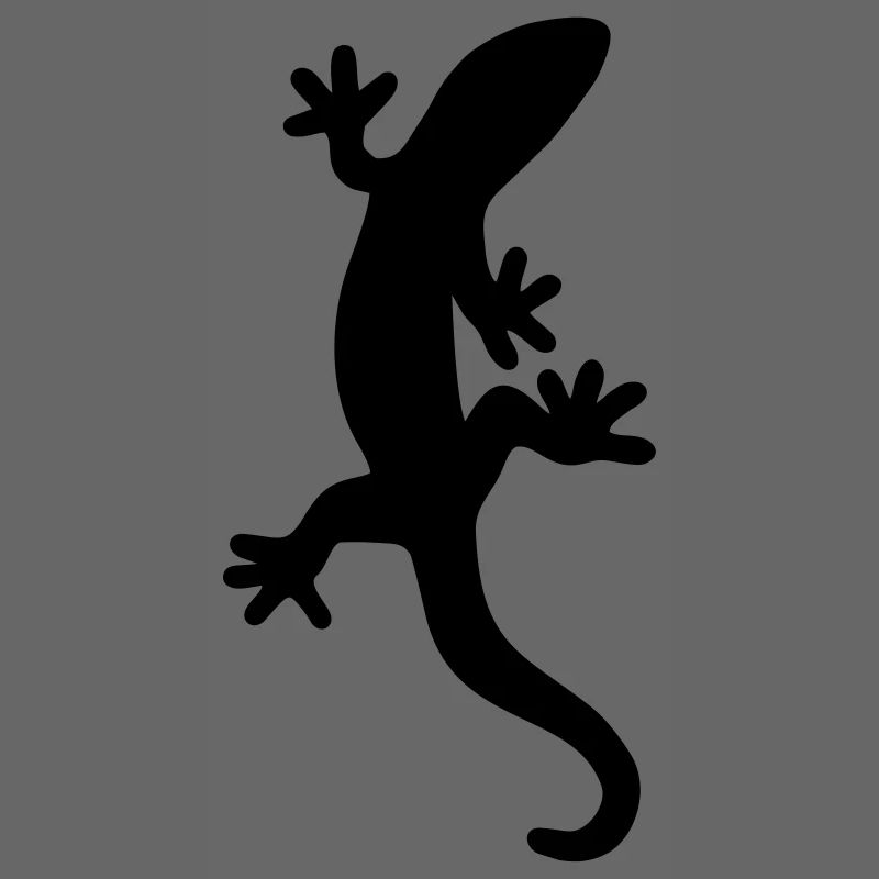 Salamander Eidechse Gecko Geschenk Natur
